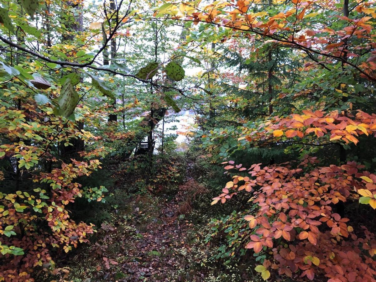 Naturskoent Boende Vid Sjoe Skånes Fagerhult Exterior foto